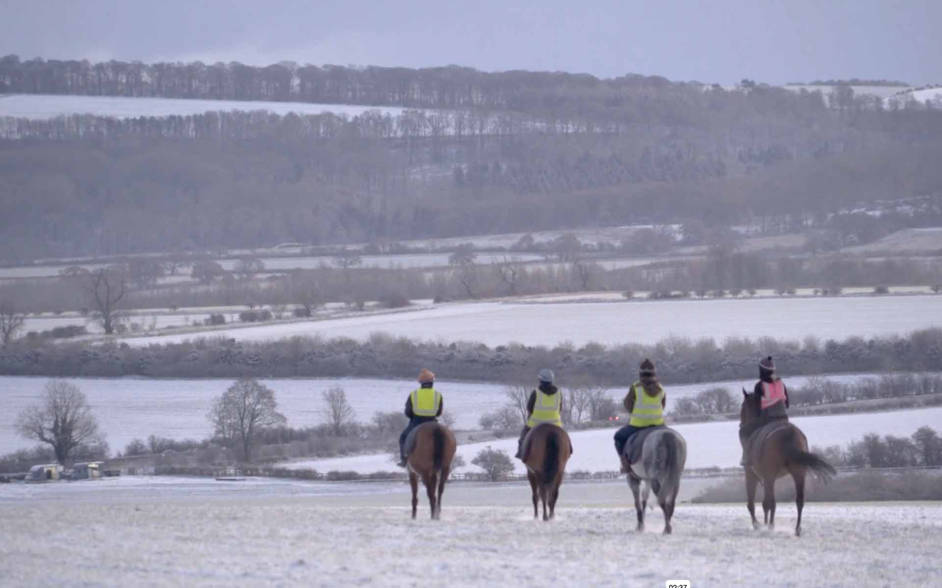 Highfield Princess and stable mates in snow